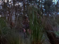 extant_XenaWarriorPrincess_1x04_CradleOfHope_00309