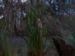 extant_XenaWarriorPrincess_1x04_CradleOfHope_00310