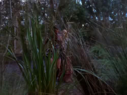 extant_XenaWarriorPrincess_1x04_CradleOfHope_00311