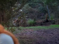 extant_XenaWarriorPrincess_1x04_CradleOfHope_00525