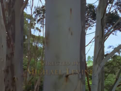 extant_XenaWarriorPrincess_1x04_CradleOfHope_00631