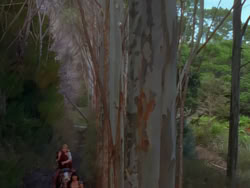extant_XenaWarriorPrincess_1x04_CradleOfHope_00635