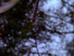 extant_XenaWarriorPrincess_1x04_CradleOfHope_00689
