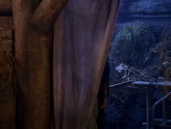 extant_XenaWarriorPrincess_1x04_CradleOfHope_02175