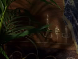 extant_XenaWarriorPrincess_1x04_CradleOfHope_02780