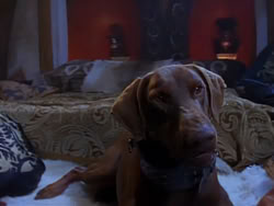 extant_XenaWarriorPrincess_1x04_CradleOfHope_02800
