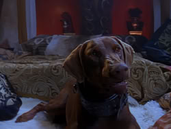extant_XenaWarriorPrincess_1x04_CradleOfHope_02801