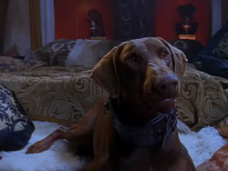 extant_XenaWarriorPrincess_1x04_CradleOfHope_02802
