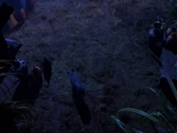 extant_XenaWarriorPrincess_1x04_CradleOfHope_02884