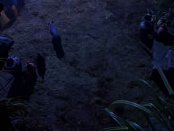 extant_XenaWarriorPrincess_1x04_CradleOfHope_02885