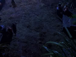extant_XenaWarriorPrincess_1x04_CradleOfHope_02886