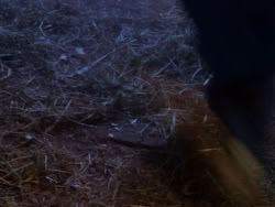 extant_XenaWarriorPrincess_1x04_CradleOfHope_02972