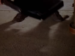 extant_XenaWarriorPrincess_1x04_CradleOfHope_03605