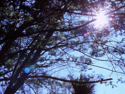extant_XenaWarriorPrincess_1x05_ThePathNotTaken_00003