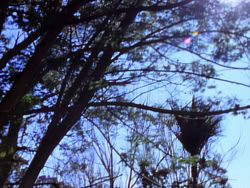extant_XenaWarriorPrincess_1x05_ThePathNotTaken_00005
