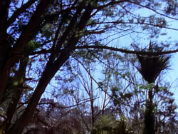 extant_XenaWarriorPrincess_1x05_ThePathNotTaken_00006