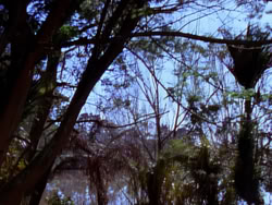 extant_XenaWarriorPrincess_1x05_ThePathNotTaken_00007