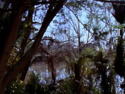 extant_XenaWarriorPrincess_1x05_ThePathNotTaken_00008