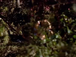 extant_XenaWarriorPrincess_1x05_ThePathNotTaken_00093