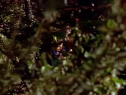 extant_XenaWarriorPrincess_1x05_ThePathNotTaken_00094