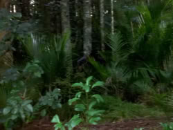 extant_XenaWarriorPrincess_1x05_ThePathNotTaken_00099