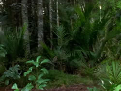extant_XenaWarriorPrincess_1x05_ThePathNotTaken_00100