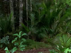 extant_XenaWarriorPrincess_1x05_ThePathNotTaken_00101