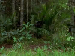 extant_XenaWarriorPrincess_1x05_ThePathNotTaken_00107
