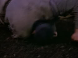 extant_XenaWarriorPrincess_1x05_ThePathNotTaken_00179