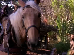 extant_XenaWarriorPrincess_1x05_ThePathNotTaken_00200