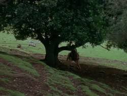 extant_XenaWarriorPrincess_1x05_ThePathNotTaken_00712