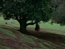 extant_XenaWarriorPrincess_1x05_ThePathNotTaken_00713