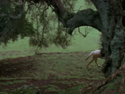 extant_XenaWarriorPrincess_1x05_ThePathNotTaken_00725