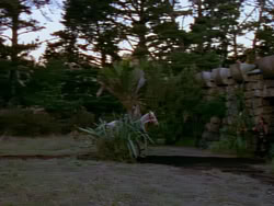 extant_XenaWarriorPrincess_1x05_ThePathNotTaken_00732