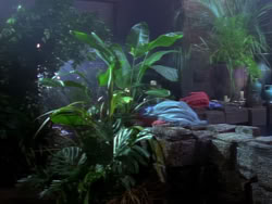 extant_XenaWarriorPrincess_1x05_ThePathNotTaken_01543