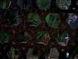 extant_XenaWarriorPrincess_1x05_ThePathNotTaken_01613