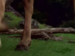 extant_XenaWarriorPrincess_1x06_TheReckoning_00086