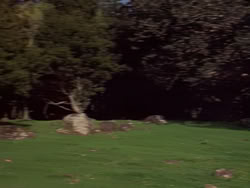 extant_XenaWarriorPrincess_1x06_TheReckoning_00199
