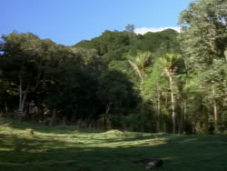 extant_XenaWarriorPrincess_1x06_TheReckoning_00534