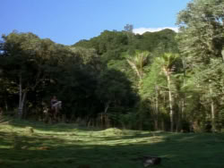 extant_XenaWarriorPrincess_1x06_TheReckoning_00535