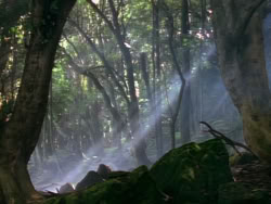 extant_XenaWarriorPrincess_1x06_TheReckoning_00864