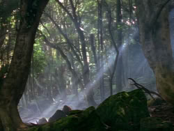 extant_XenaWarriorPrincess_1x06_TheReckoning_00865