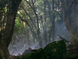 extant_XenaWarriorPrincess_1x06_TheReckoning_00869