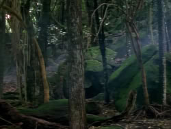 extant_XenaWarriorPrincess_1x06_TheReckoning_00885