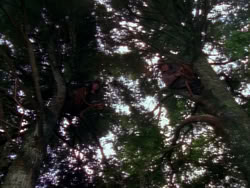 extant_XenaWarriorPrincess_1x06_TheReckoning_00946