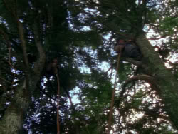 extant_XenaWarriorPrincess_1x06_TheReckoning_00951