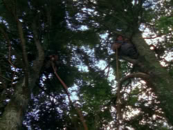 extant_XenaWarriorPrincess_1x06_TheReckoning_00952