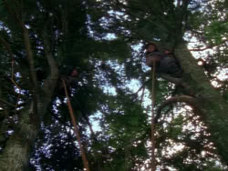 extant_XenaWarriorPrincess_1x06_TheReckoning_00953