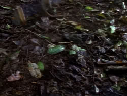 extant_XenaWarriorPrincess_1x06_TheReckoning_01015