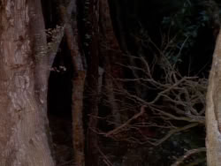 extant_XenaWarriorPrincess_1x06_TheReckoning_02099